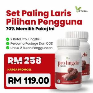Set Pilihan Pengguna