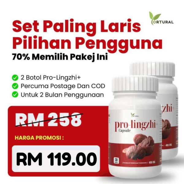 Set Pilihan Pengguna
