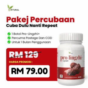 Set Percubaan